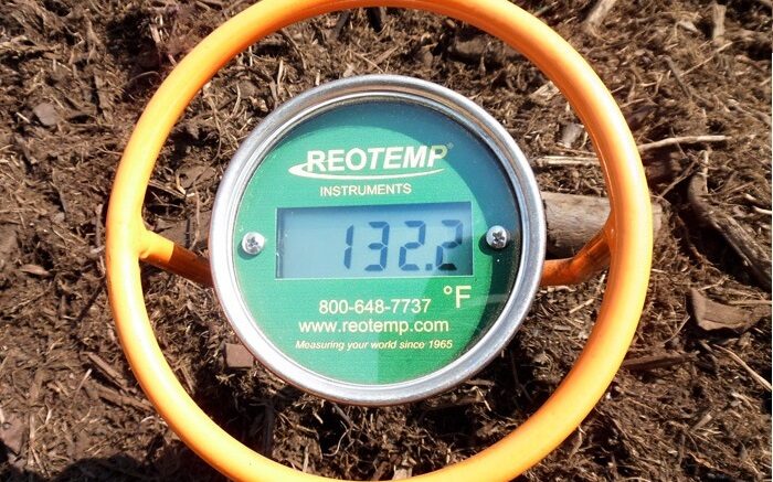 Economical hand-held Digital Thermometer
