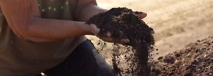 Soil Workshop