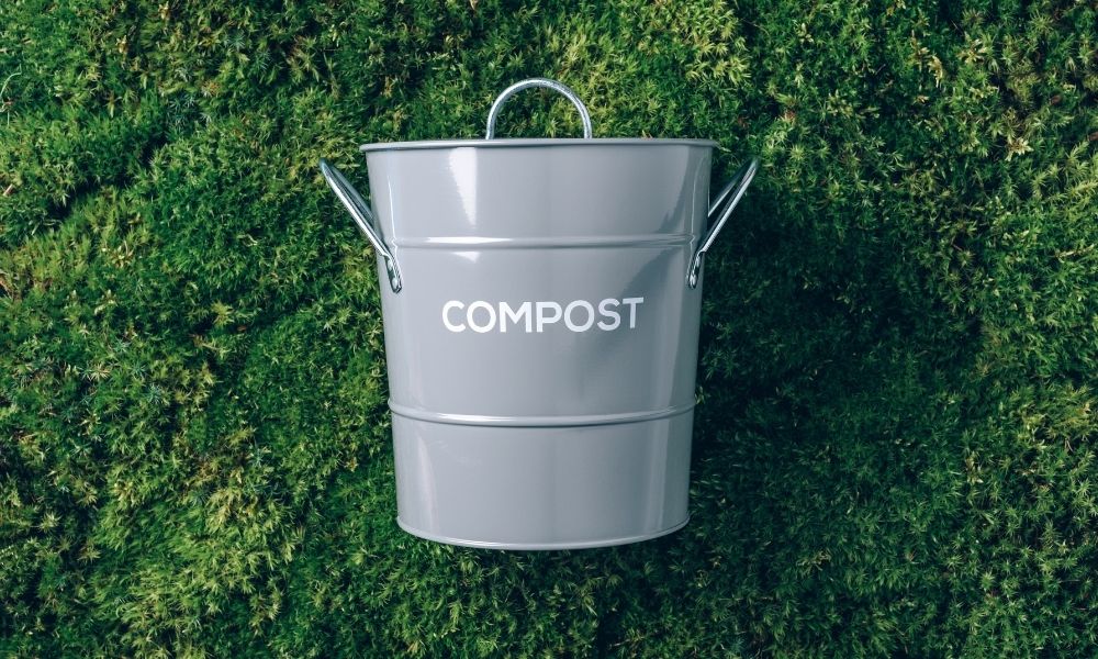 The Benefits of Using Compost Tea The Benefits of Using Compost Tea