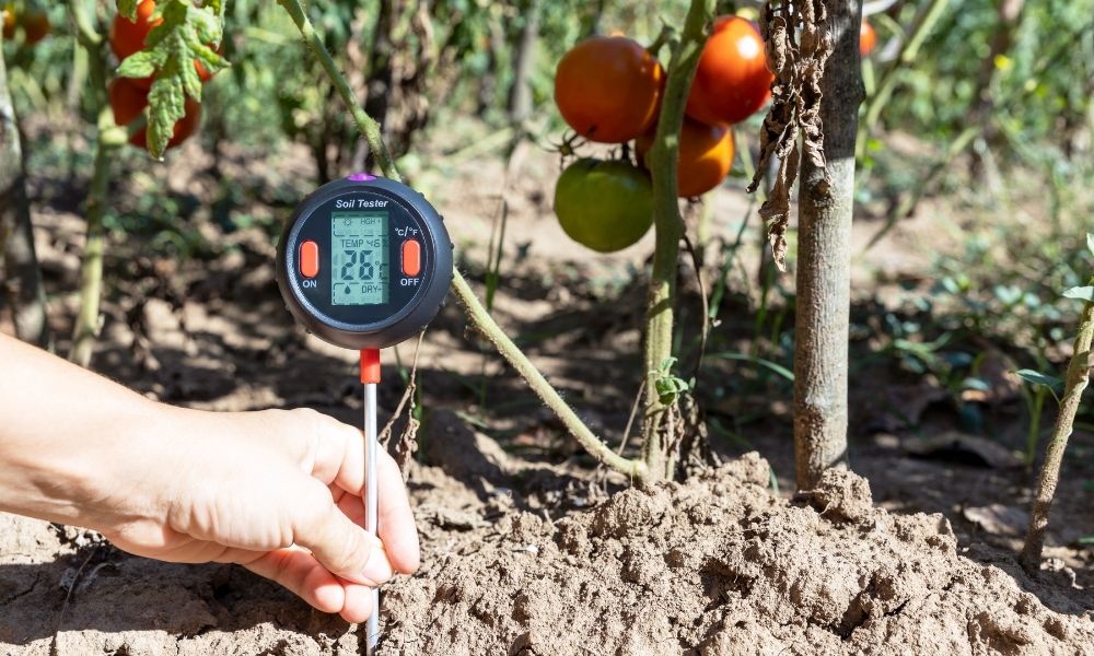 midwestbiosystemsinc-81624-soil-moisture-monitoring-blogbanner1 The Importance of Soil Moisture Monitoring