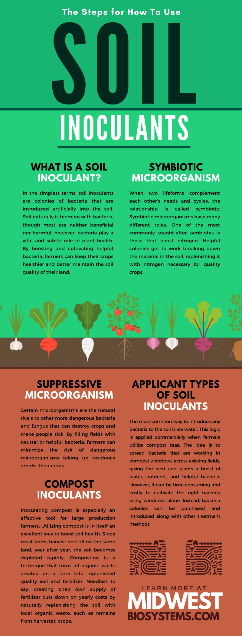 The Steps for How To Use Soil Inoculants