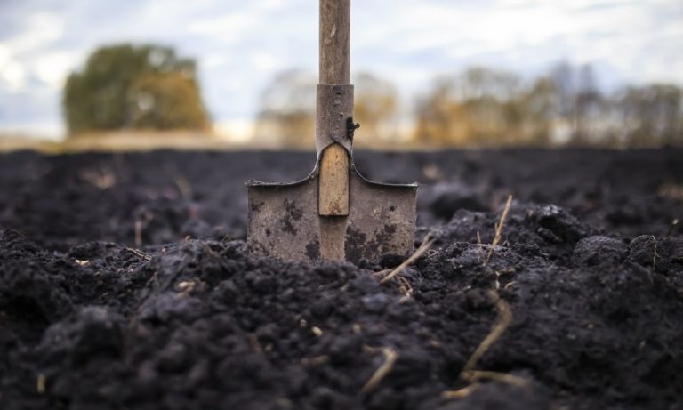 The Steps for How To Use Soil Inoculants